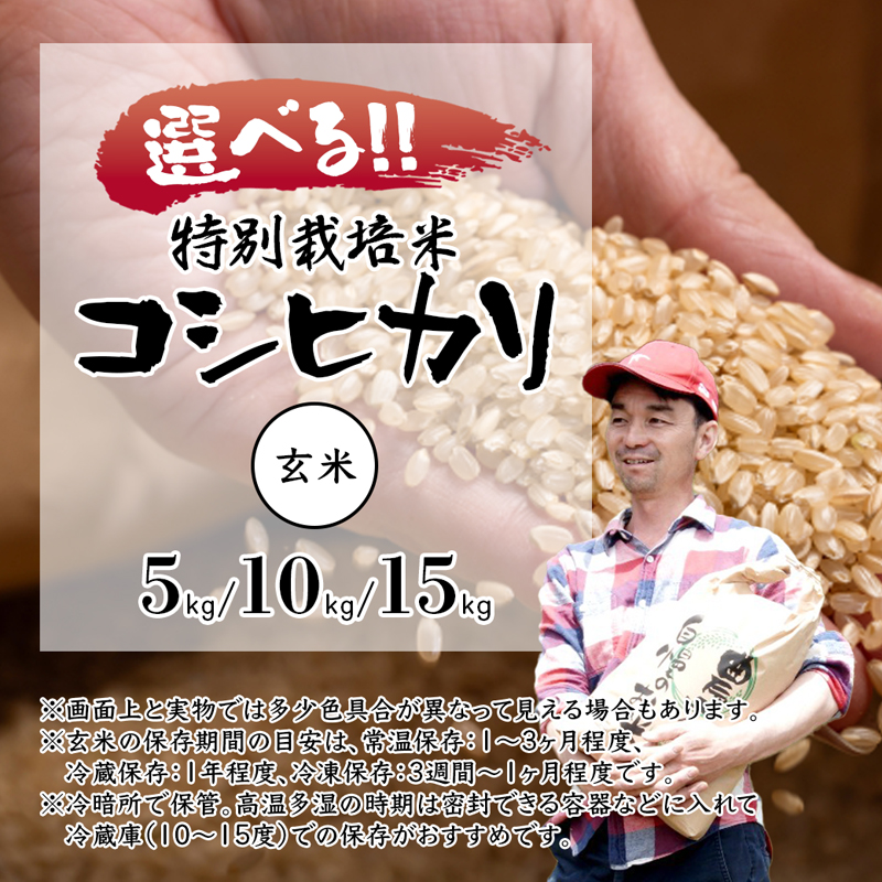 【令和7年度産 新米 先行予約】 棚田米 玄米 15kg コシヒカリ 特別栽培米 7割削減 新米 京都産 農家直送