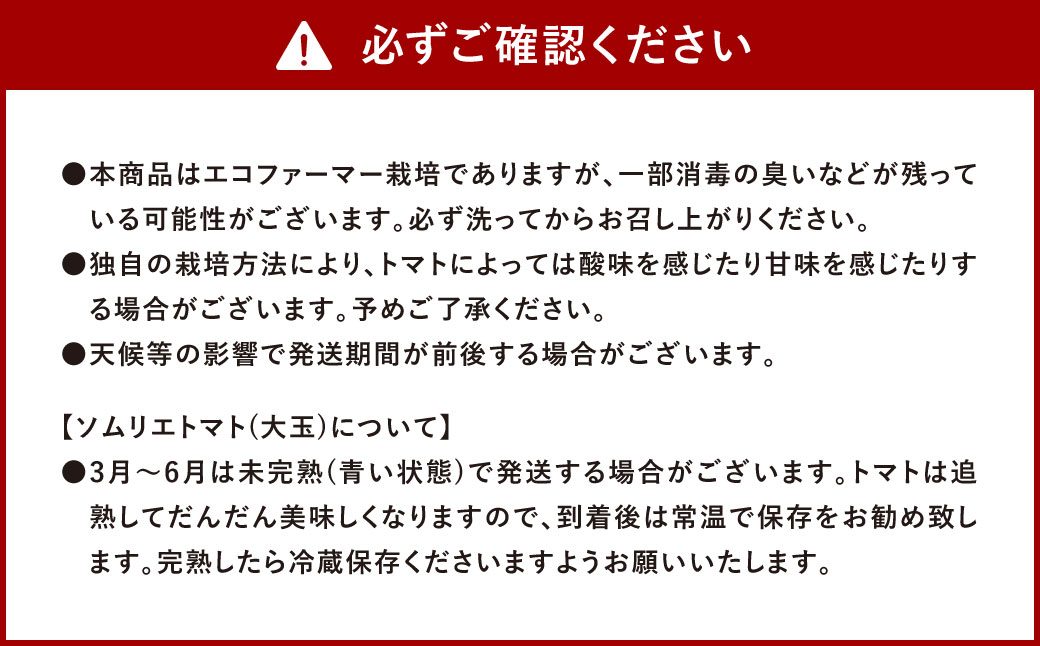 ソムリエ トマト 4kg × 2箱 合計8kg とまと トマト 野菜 やさい 熊本県産 国産 【2025年2月上旬発送開始】
