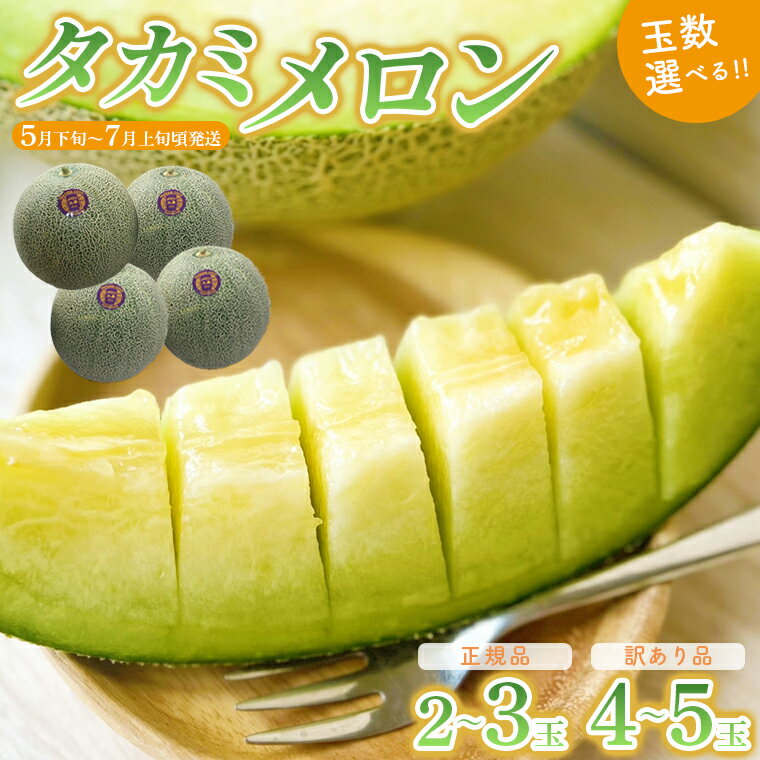 【ふるさと納税】メロン タカミ 貴味 青肉 フルーツ 果物 2026年 おすすめ 甘い 糖度 贅沢 みずみずしい ジューシー 肉厚 期間限定 数量限定 季節限定 国産 房総 千葉県 富津市 送料無料 メロン工房 川上