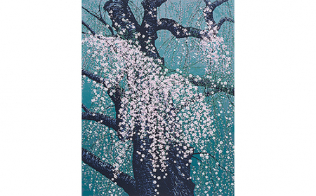 版画 「春彩 枝垂桜」 | 版画 セリグラフ