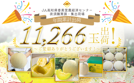 【６回定期便】夜須のエメラルドメロン ２玉 テレビ朝日「ザワつく!金曜日」で特集 紹介 くだもの フルーツ ギフト マスクメロン 青肉 ブランド ギフト 贈答用 ご褒美 高級 1個 お礼 御祝 産地直