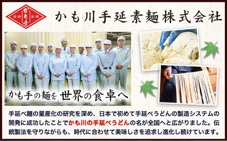 手延べざるうどん つけつゆ付き 200g×6袋 かも川手延素麺株式会社