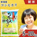【ふるさと納税】新米 コシヒカリ 選べる容量(5kg 6kg 10kg 20kg) 新潟県三条市下田産 こしひかり 令和6年産 [JAえちご中越]【010S242】