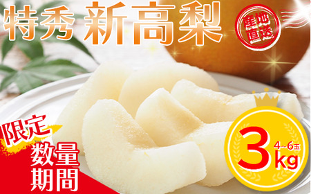 【先行予約】＜蔵王町産＞【特秀】新高梨3kg箱詰め　【04301-0605】