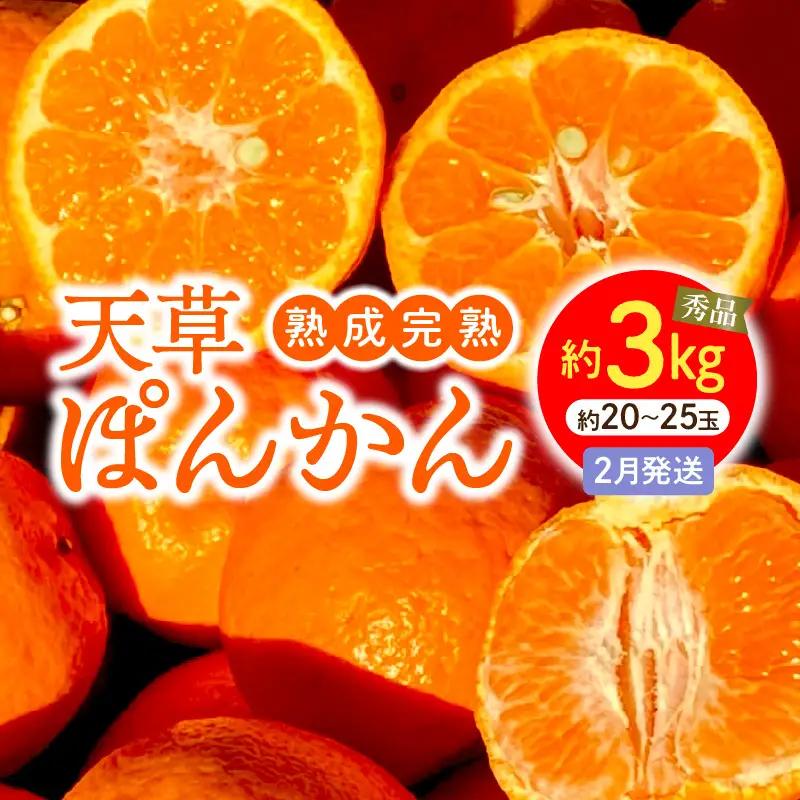 S117-004_香りを食す！熟成完熟天草ぽんかん 2月発送 約3kg秀品〈先行受付〉