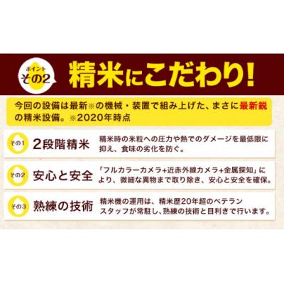 ふるさと納税 氷川町 令和7年産 白米 【6ヶ月定期便】 ひのひかり 20kg |  | 01