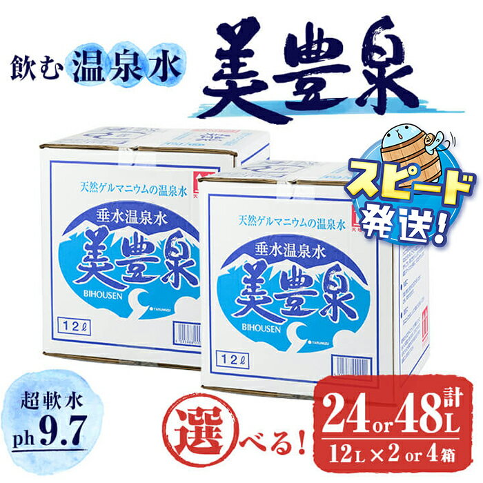 【ふるさと納税】【定期便対応】＜すぐ届く！＞飲む温泉水/美豊泉 (12L×2箱or4箱 / 定期便6回 計12箱 or 12回 計24箱) 水 ミネラルウォーター 温泉水 シリカ水 軟水 超軟水 12L BIB バックインボックス 定期便 国産 鹿児島産 垂水市 常温 常温保存【池田建設】