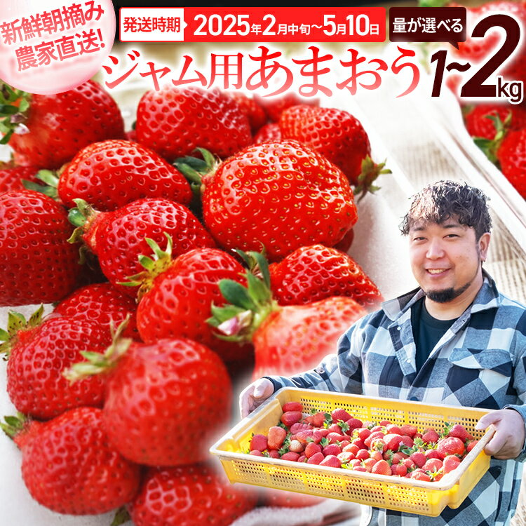 【ふるさと納税】ジャム用あまおう1kg or 2kg いちご イチゴ 苺 ジャム用 訳あり 福岡県 大木町 池上農園 BD-S0002 【2025年2月中旬から5月10日頃を目途に発送予定】 BD07 BD08