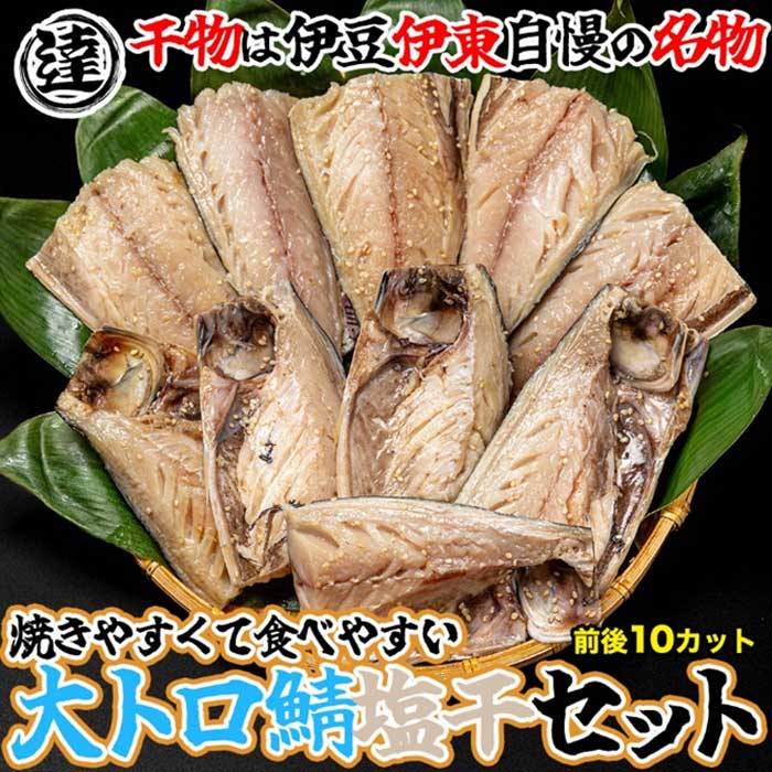 【ふるさと納税】伊豆・伊東 丸達水産 天然しおさば10切セット 食べやすいハーフカット