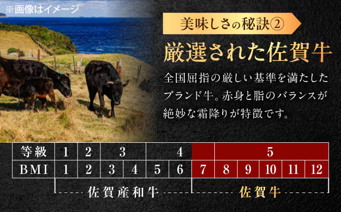 佐賀牛 シャトーブリアン 1.2kg（200g×6枚） [UEM060]