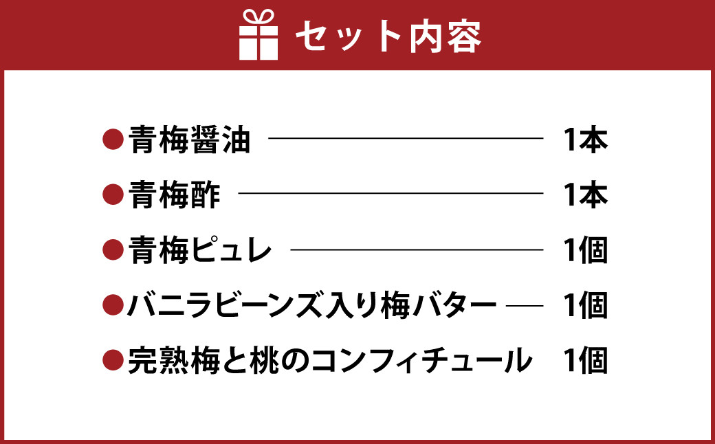 熊本 ・ 人吉 球磨 地域よりお届け！ 梅 オールスターズ 5本 セット