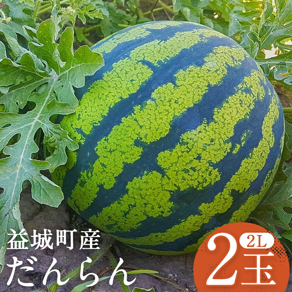 【ふるさと納税】スイカ だんらん 約7kg×2玉 合計約14kg 2Lサイズ すいか フルーツ 果物 益城町産 熊本県産 九州産 送料無料