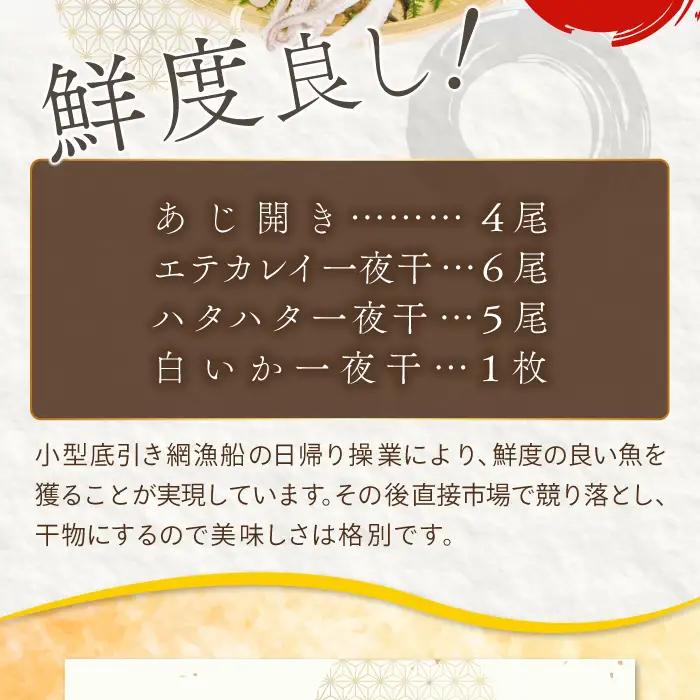 定番の干物４種詰合せセット【干物 セット アジ エテカレイ ハタハタ 白いか 鯵 鰈 鰰 白イカ 島根県産 島根県沖 一夜干し ひもの 魚 魚介 日本食 和食 贈答 ギフト お取り寄せグルメ ご当地グ
