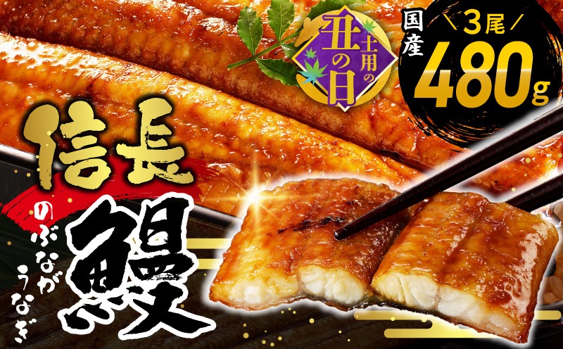015B360c 【7/19土用の丑の日】【数量限定】国産 信長鰻 160g×3尾【大サイズ 合計480g 蒲焼き 無頭 うなぎ 鰻 ウナギ ひつまぶし タレ 冷凍】