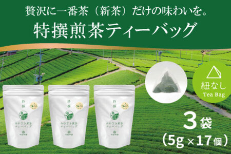 お茶 ティーバッグ 特撰 みやざき煎茶 3袋 セット [谷岩茶舗 宮崎県 日向市 452061734]