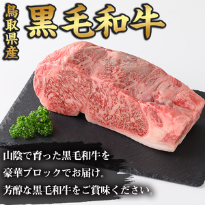 鳥取黒毛和牛ロースブロック(1.2kg)国産 黒毛和牛 牛肉 ロース ブロック ステーキ ローストビーフ 焼肉 BBQ バーベキュー ギフト 贈答 【sm-AP005】【いろは精肉本店】