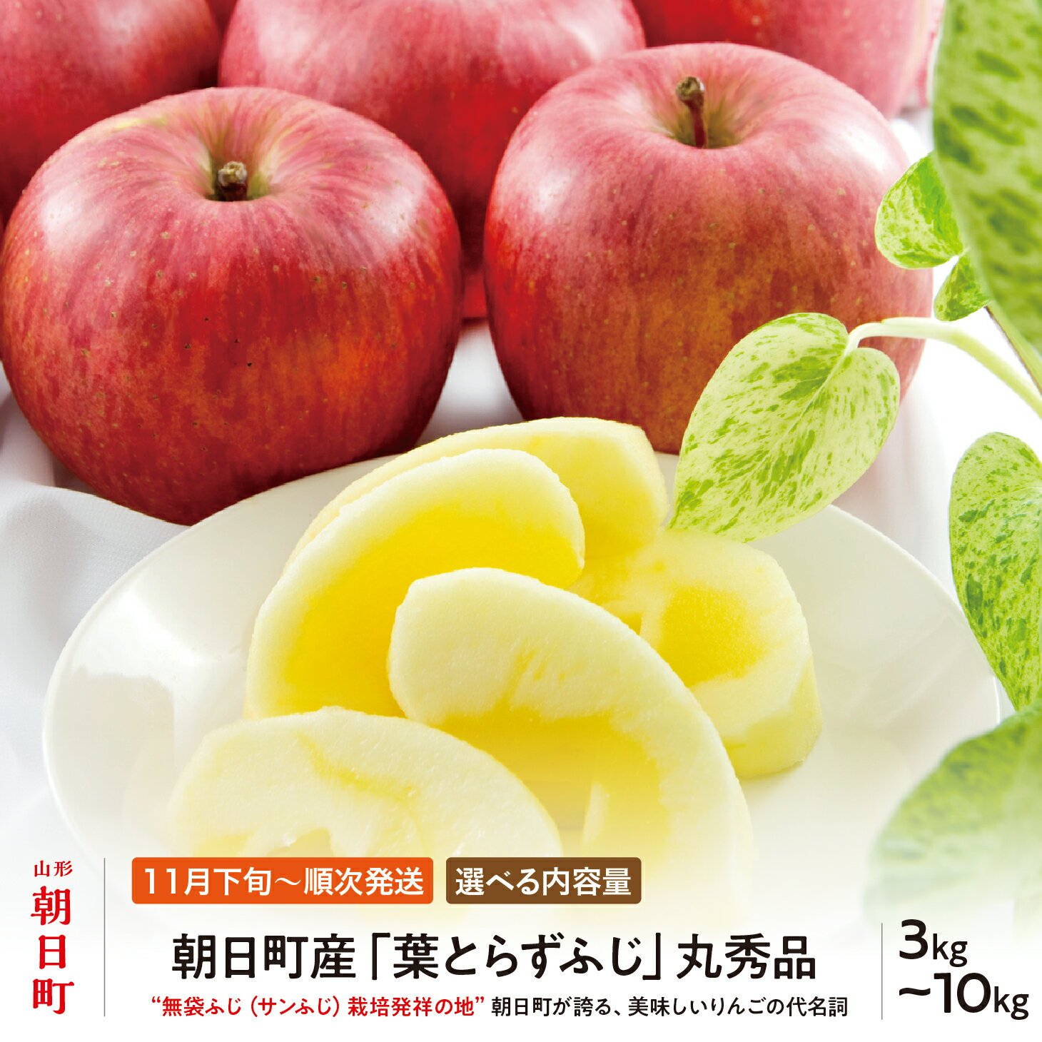 【ふるさと納税】＜ 先行予約 ＞ りんご 葉取らず ふじ 丸秀品 選べる内容量 約 3kg 8～12玉 約 5kg 13～20玉 約 10kg 26～40玉 【2026年11月下旬から12月下旬発送】 山形県 朝日町産 山形県産 果物 フルーツ リンゴ 林檎 秋 冬 送料無料