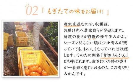 極早生みかん 約6.5kg 大小混合 《ご家庭用》ちょっと訳あり 和歌山県より農園直送！まごころ産直みかん【北海道・沖縄県・一部離島 配送不可】混合サイズ ミカン 蜜柑 温州みかん わけあり 訳アリ【