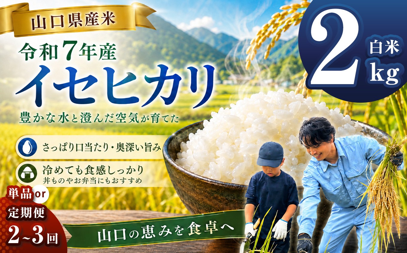 
                  令和7年産 山口県産米 イセヒカリ 2kg 【 単品 / 定期便 】 選べる 配送回数 1回 2回 3回 ｜ 令和7年産 いせひかり 山口県産米 こめ お米 コメ 白米 精米 ごはん ご飯 瀬戸内 山口県 平生町 2kg
                