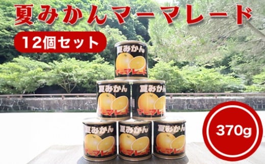 萩名産夏蜜柑／夏みかんマーマレード缶 12個セット