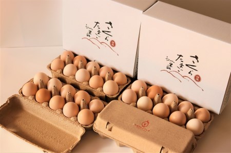 特選 さくらたまご 40個(10個入×4パック)
