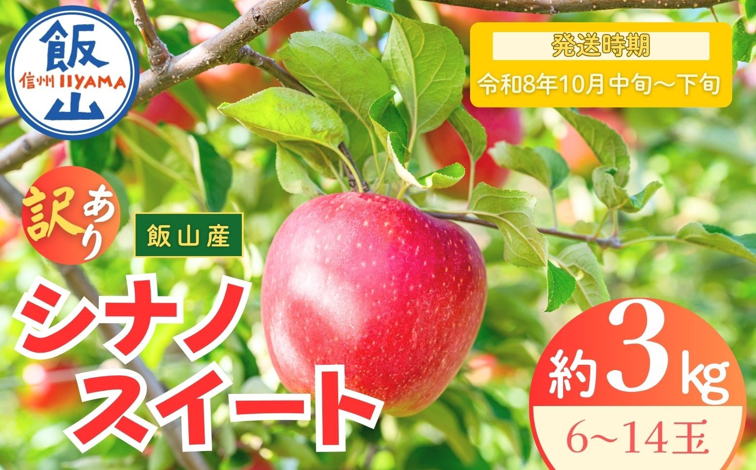 
                  【先行予約丨2026年10月中旬より順次発送】訳あり シナノスイート【約3kg(6〜14玉)】(At-020)丨長野県 飯山市 おすすめ ランキング おいしい 高評価 大人気 先取り 産地直送 りんご 訳あり 規格外
                