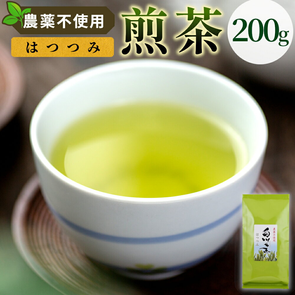 【ふるさと納税】農薬不使用！煎茶 はつつみ 200g 常磐園 白川茶 美濃白川茶 日本茶 緑茶 煎茶 茶葉 お茶 一番茶 春摘み リーフ 国産 お試し 岐阜県 東白川村 走り新茶