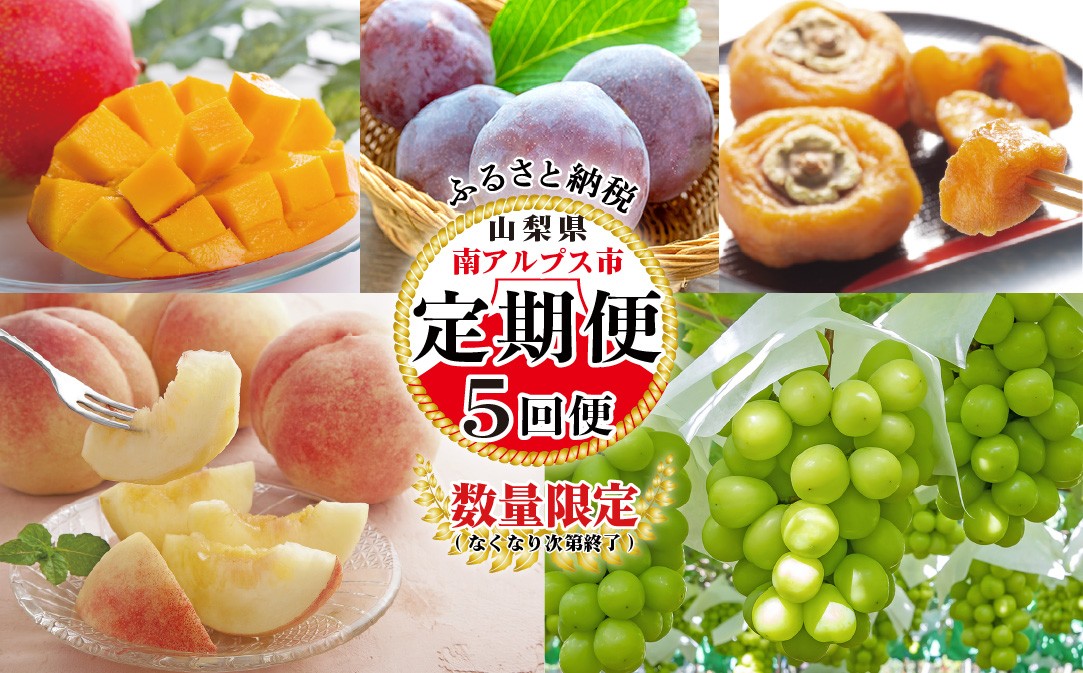 
                  ＜2027年発送先行予約＞【山梨県産 定期便5回送り】南アルプスの果物Bセット ALPAI051
                