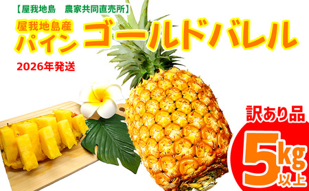 《訳あり品》2026年【屋我地島　農家協同直売所】ゴールドバレル約5kg 訳あり品 沖縄 バレル パイナップル パイン ぱいん 県産 名護 訳あり わけあり 送料無料 ご当地 ふるさと納税 お取り寄せ 生産者応援 ５キロ くだもの 果物 デザート フルーツ