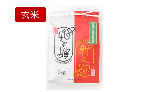 《先行予約》令和6年産【お米ソムリエのお米】新之助 玄米 5kg（5kg×1袋）新潟県 五泉市 エバーグリーン農場