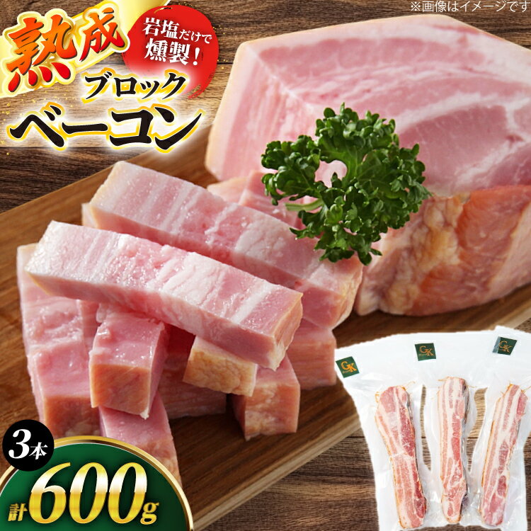 【ふるさと納税】 燻製 ベーコン【化学調味料等無添加】岩塩だけで仕上げた燻製ブロックベーコン 600g [グリュン江南 愛知県 江南市 ko23btu160000] 肉 ベーコン 豚肉 厚切り ブロック ジューシー 無添加 岩塩 肉加工品 加工品 真空パック BBQ バーベキュー お弁当 おかず