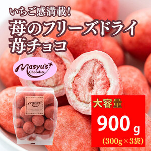 苺のフリーズドライ苺チョコ900g 300gx3袋 11月～3月発送 チョコレート チョコ スイーツ お菓子 おかし いちご ホワイトチョコ イチゴ パウダー ギフト プレゼント 兵庫県 伊丹市