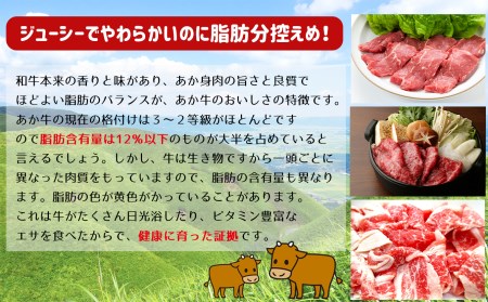 肥後の赤牛ハンバーグ　150ｇ×10定期便6回 G-39
