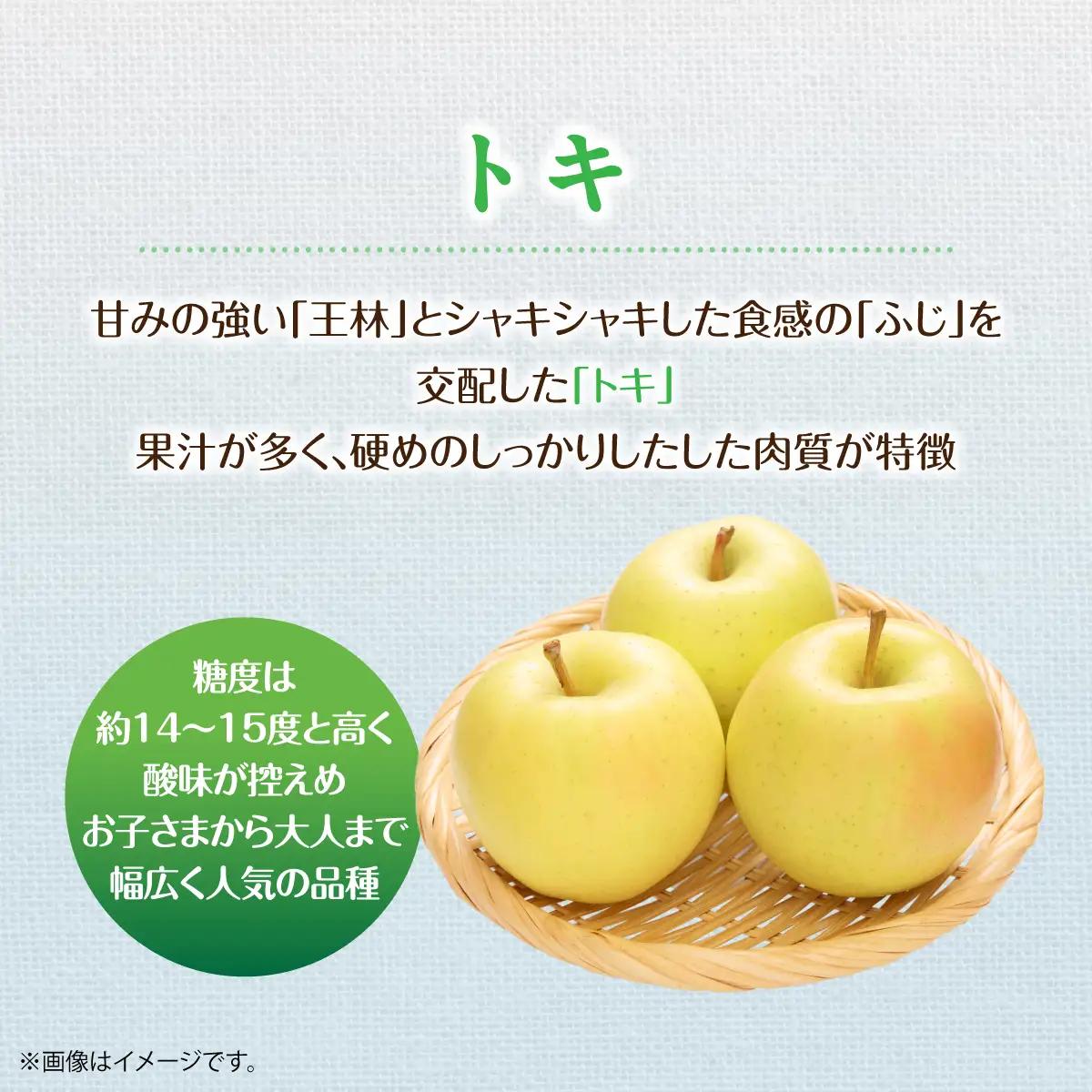 【先行予約】＜2026年10月中旬よりお届け＞北海道壮瞥町　りんご　品種名「トキ」12～18玉約5kg SBTF017