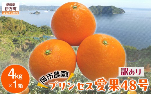 【先行予約】【数量限定】【訳あり】岡市農園！プリンセス愛果48号 約4kg（2027年2月下旬より順次発送）  【ふるさと納税 人気 おすすめ ランキング 柑橘 みかん ミカン 蜜柑 愛果48号 果物 フルーツ 訳あり 産地直送 農園直送 岡市農園 愛媛県産 愛媛県 伊方町 送料無料】 IKTV013