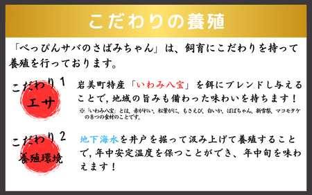 【店頭受取専用】★ZIP!で紹介★ サバさし 2人前 交換チケット（べっぴんサバのさばみちゃん刺身）鯖 さば さしみ 肴 鳥取 岩美【24043】