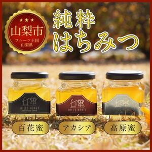 【山梨県産】丘の蜜 奥山養蜂 150g × 3本　山梨県産純粋はちみつ【1660926】