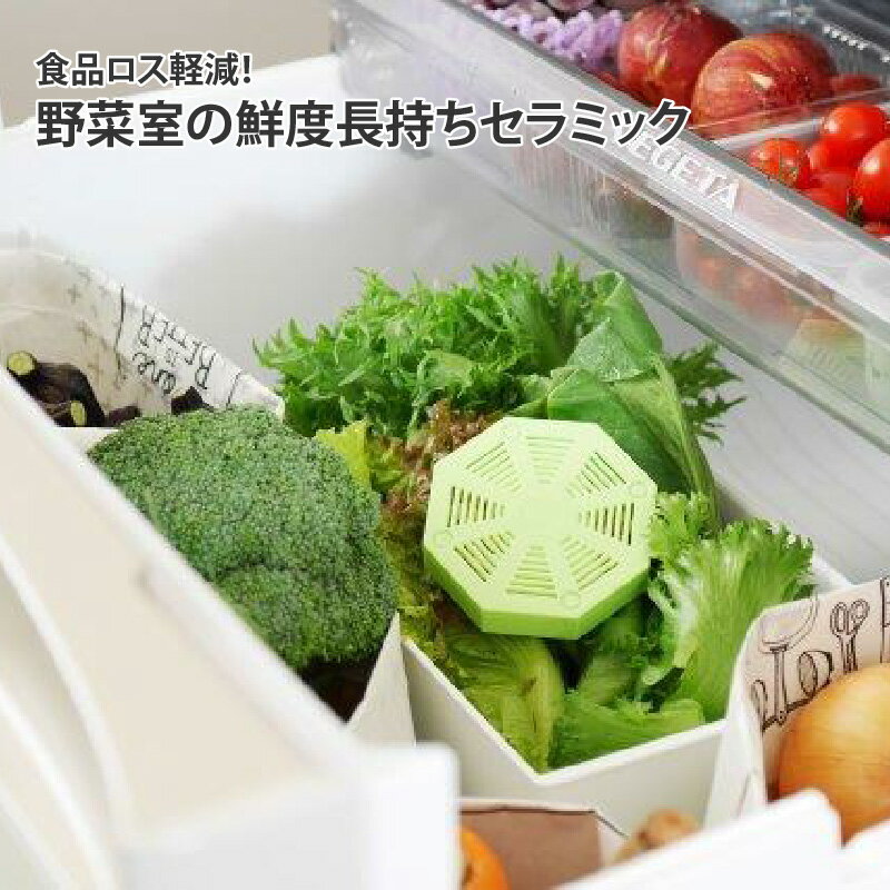 【ふるさと納税】食品ロス軽減！野菜室の鮮度長持ちセラミック