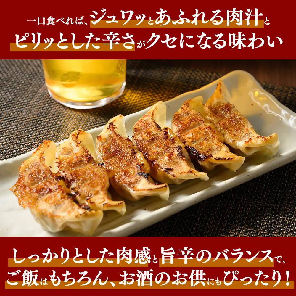 冷凍 生餃子 大人のピリ辛 肉屋の餃子（40個入り） 3パック