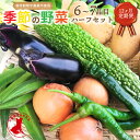 【ふるさと納税】【12ヵ月定期便】 【茨城県共通返礼品】季節の野菜ハーフセット 6～7品 野菜 旬 自然栽培 栽培期間中農薬不使用 詰め合わせ 茨城県 神栖市 送料無料