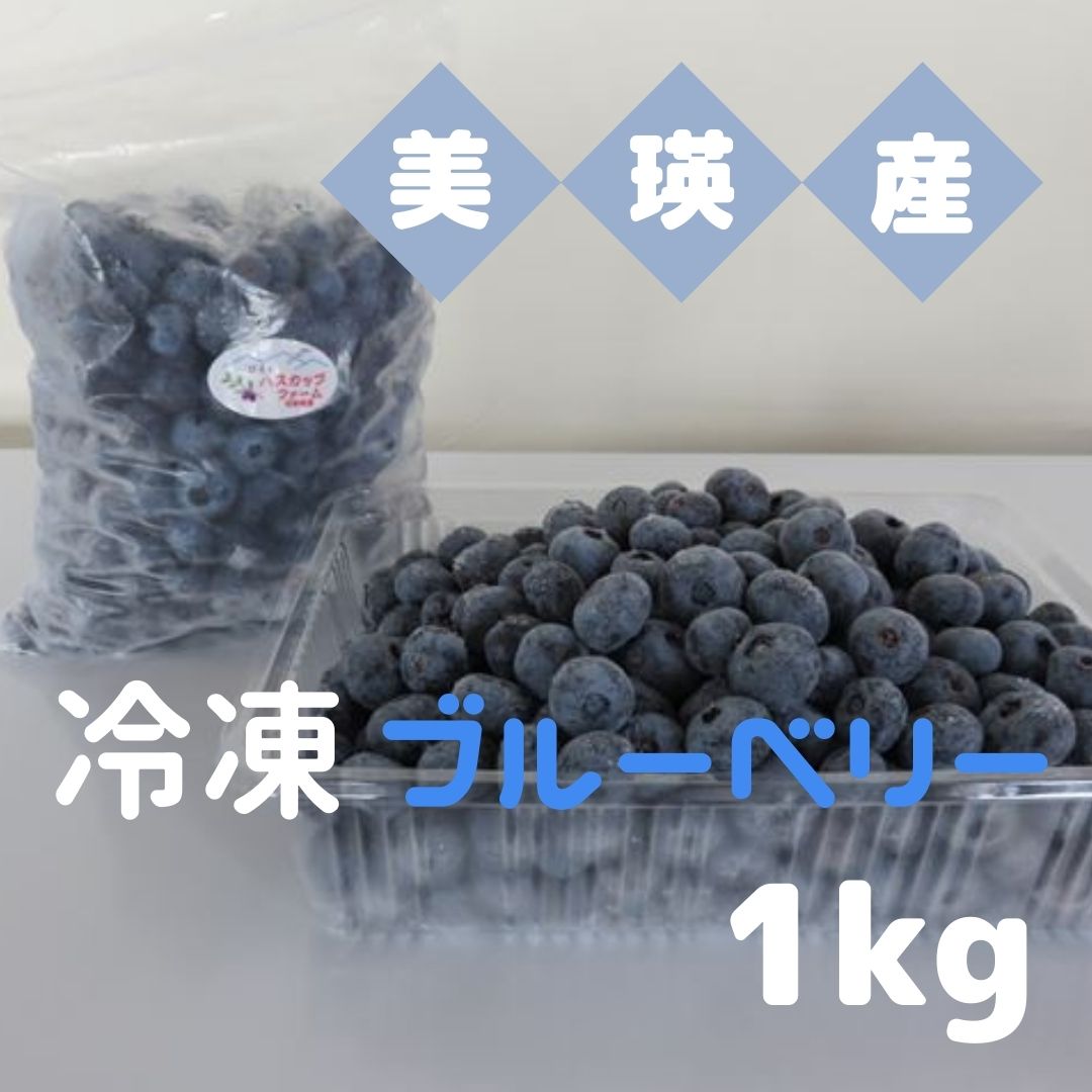【ふるさと納税】美瑛産 冷凍 ブルーベリー 1kg 北海道 北海道美瑛 北海道美瑛町 美瑛町 ブルーベリー びえいハスカップファーム 冷凍フルーツ 果物 くだもの お取り寄せ グルメ 国産 食べ物 たべもの 食品 ご当地　[019-66]