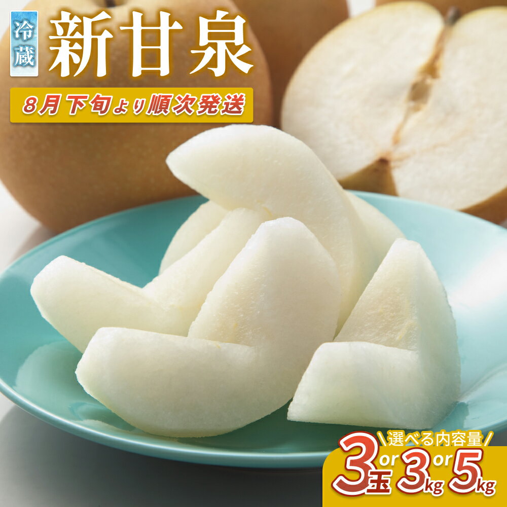 【ふるさと納税】【先行予約】中野農園 梨 ”新甘泉” 3玉、3～5kg※冷蔵発送｜鳥取県 梨 なし 和梨 新甘泉 果物 くだもの フルーツ 選べる内容量 3kg 5kg 数量限定 しんかんせん 岩美町 農家応援 甘い 特産品※お届けは2026年8月下旬以降