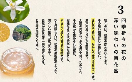 【みかんの花の蜂蜜】国産天然はちみつ FUKUBEE ハニーボトル 200ml 2本セット 蜂の幸せを考える養蜂家【希少 蜂蜜 はちみつ ハチミツ 百花蜜 非加熱 ストレスフリー 養蜂 レンゲ アカシ