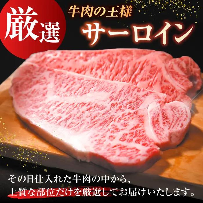 【6回定期便】サーロインステーキセット 500g（250g×2枚）  [AFBO007]