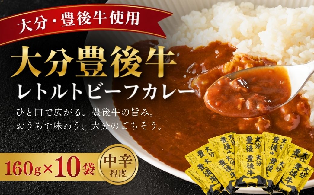大分豊後牛ビーフカレー 10袋セット レトルト カレー ビーフ レトルト食品 和牛カレー お惣菜 大分県産 九州産 津久見市 熨斗対