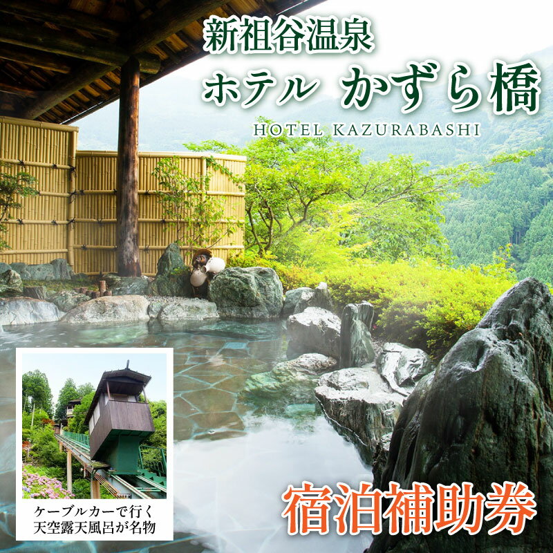 【ふるさと納税】徳島 旅行 ホテル 宿泊券 新祖谷温泉 ホテルかずら橋 30,000円分 徳島県 三好市 温泉 祖谷温泉 温泉旅館 宿泊補助券 露天風呂 かずら橋 観光 絶景 温泉旅行 宿泊ギフト 人気 温泉宿 旅行券 観光スポット にし阿波 祖谷 秘境 温泉地 おすすめ
