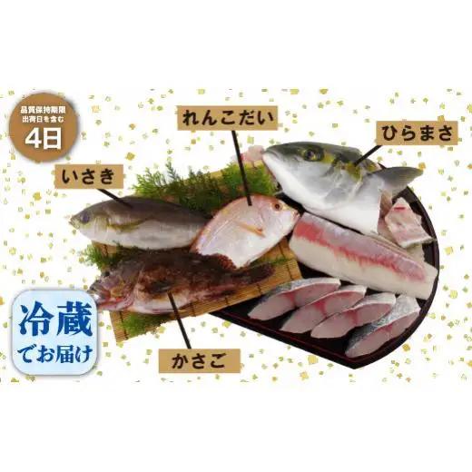 【地魚】五島列島旬の地魚大漁セット 魚介類 A198