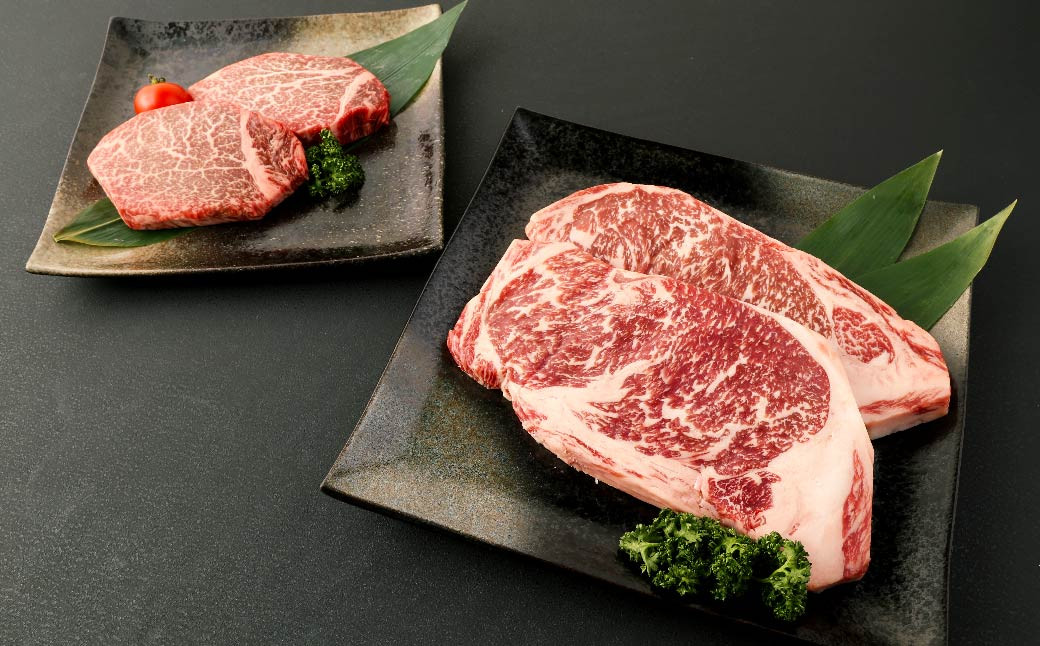 あか牛 サーロイン・ヒレ ステーキ 600g(サーロイン200g×2枚・ヒレ100g×2枚) 2種類 肉 お肉 牛肉 和牛