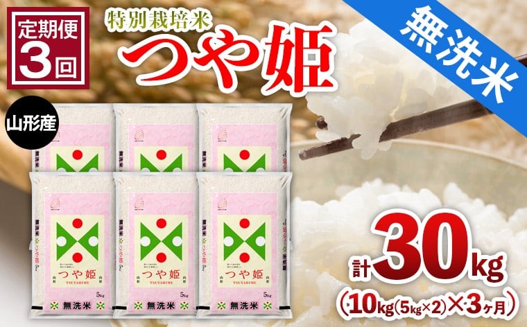 
                  【定期便3回】山形産 特別栽培米 【無洗米】 つや姫 10kg(5kg×2)x3ヶ月(計30kg) FY25-480
                