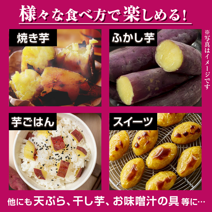 No.560-A ＜訳あり・不揃い＞鹿児島県日置市産さつまいも！